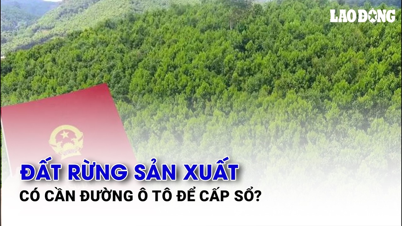 Đất rừng sản xuất có cần đường ô tô để cấp sổ?