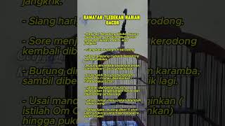 Download lagu Rawatan tledekan harian gacor mp3 Download lagu Rawatan tledekan harian gacor mp3