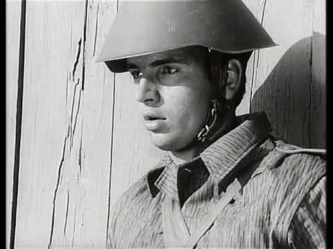 Nahkampf kompakt: Nur Training