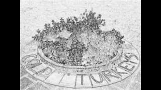 Cold Turkeys -  Roadhouse Blues