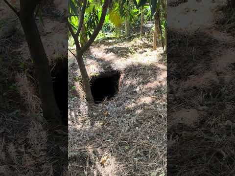 RUFUGIO ANTI AÉREO CAÑAVERALES SAN FERNANDO MORAZÁN