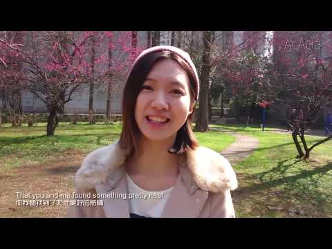 Valentine - Kina Grannis (Cover by AcAcia)