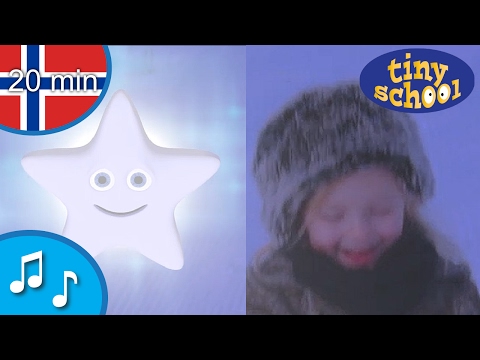 Blinke, blinke Stjernelill | barnesanger på norsk Tinyschool Norsk