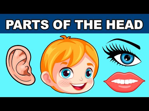 ✅ Las partes de la cabeza en inglés 🙂 Video