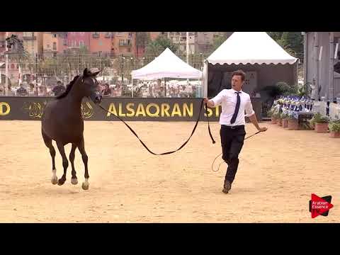 Menton 2018 - Class 2A