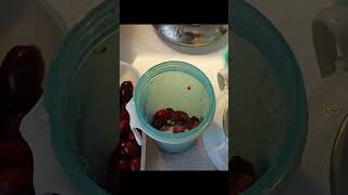 морс из кизила # dogwood  juice (mors) # Hartriegel saft (mors)