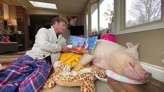 Storytime with Esther T.W. Pig: Dinosaur Pet