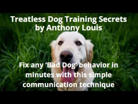 Treatless Dog Training Secrets Review #Shorts