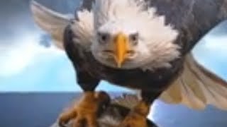 Roberto Carlos. Águia Dourada