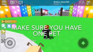 How To Get Free Pets In Pet Simulator - roblox pet simulator cat plush