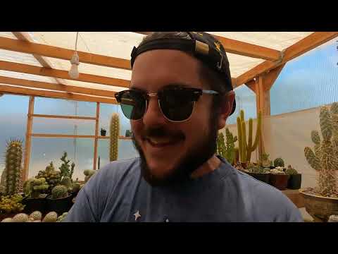 Greenhouse nerd session with Pardon my cactus