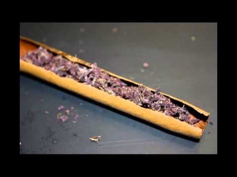 Kush- Dinko Dank (Feat T.Gunz)