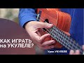 UKULELE. УКУЛЕЛЕ. Знакомство с инструментом. Обучение укулеле. Аккорды ...