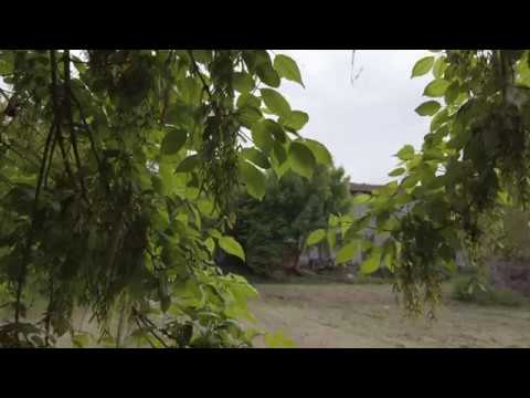 Cascina Vismara - San Bassano (CR)