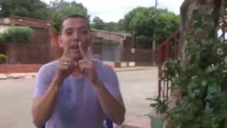 Pito, pito, gorgorito.