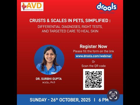 IAVD Drools Webinar 26-10-2025
