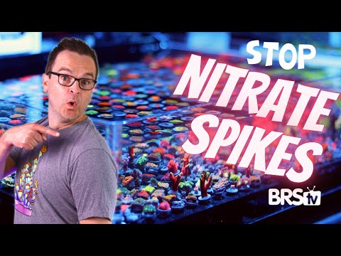 5 Ways to Lower Reef Tank Nitrates SAFELY and EFFECTIVELY!