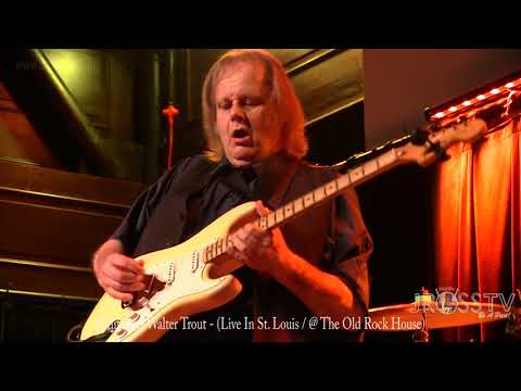 James Ross @ Walter Trout - "Almost Gone" - www.Jross-tv.com (St. Louis)