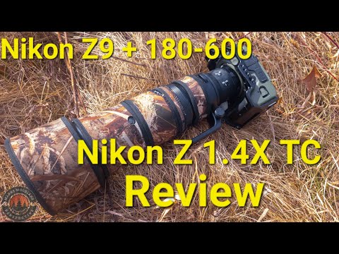 Is a Teleconverter Worth It? Nikon 180-600 & 1.4x TC