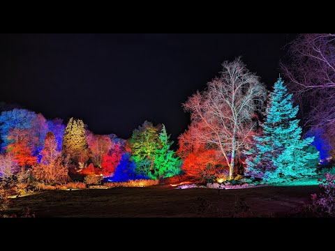 Brilha no RHS Harlow Carr 2023