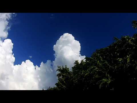 Ichigo Tanuki   Есть только миг на японском языке !!!