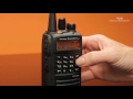 Видеообзор Vertex EVX-539