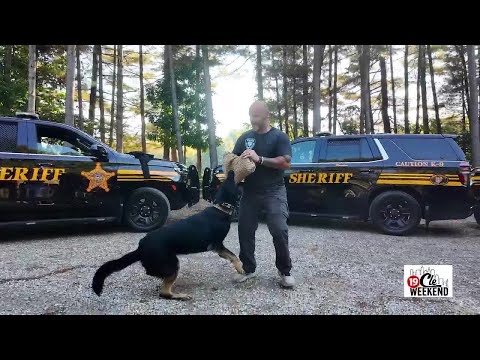 Behind the Badge: A Day with the Geauga County Sheriff's Office K-9 Training Unit