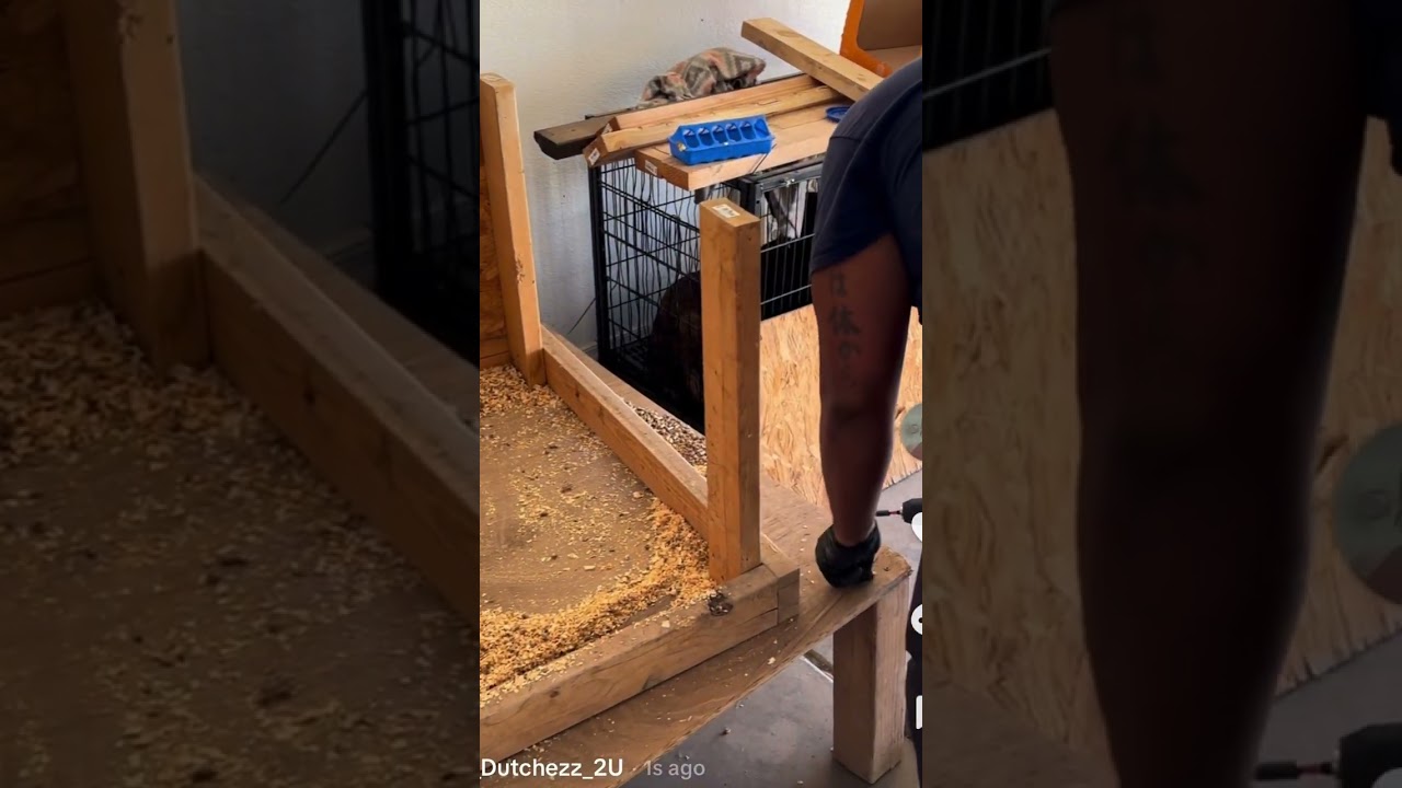 Yup we’re DOING IT!!! Starting our urban homestead with chickens!! We have 7 for eggs and 8 for meat