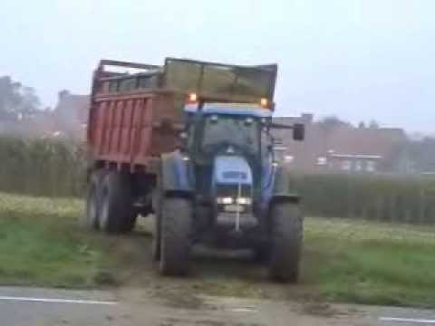 Persyn - Steelandt: Mais hakselen.