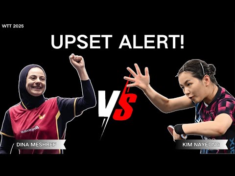 Champion vs Rising Star! | Dina Meshref vs Kim Nayeong | Fast Rallies & Key Points | Highlights