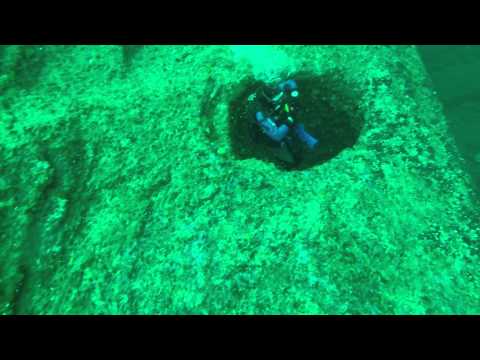 Diving in Saltstraumen