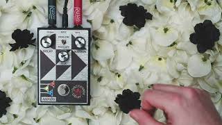 Video thumbnail for Maestro Discoverer Delay | Russo Music by Russo Music