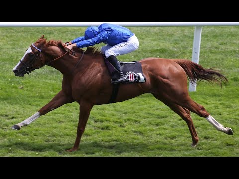 Renntag in Baden-Baden am 11.09.2020