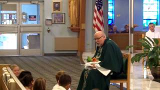 preview picture of video 'Gospel & Children's Homily 7 20 14'