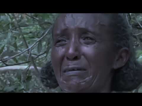 #ኣደዋይ ኣባይኪ ሓላለይ