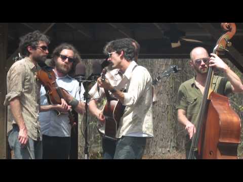 Bluebirds and Bluegrass Festival 2013 - Packway Handle Band (3) - In The Pines