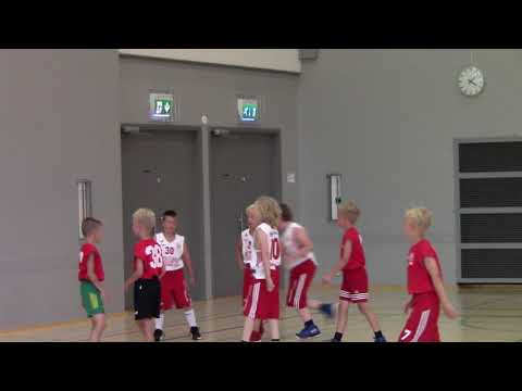 Delfin 2018 Pyrintö White   Pyrintö Jarmo