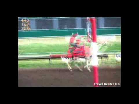 Camel Race official video