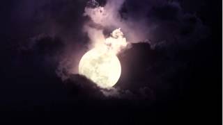 Preterite - Don&#39;t ask for the moon when we have the stars