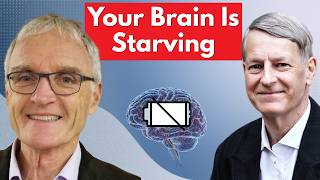 The Silent Fuel Crisis Starving Your Brain | Dr Stephen Cunnane thumbnail