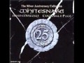 WHITESNAKE Hit An Run Cover By SLAVA SINCHUK