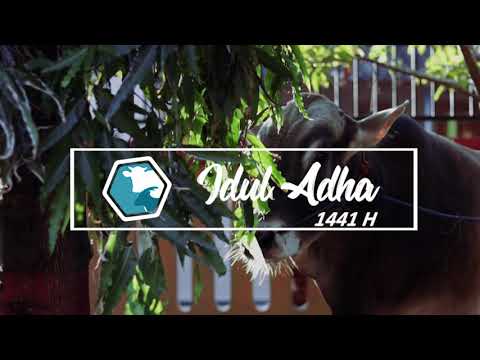 IDUL ADHA 1441H Cinematic