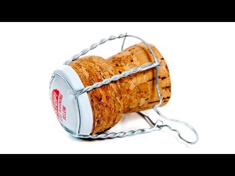 女性はどのようにオーガズムをするのか？ (How Do Women Orgasm?)