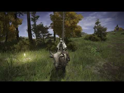 Elden Ring Get to Foot of the Four Belfries Site of Grace