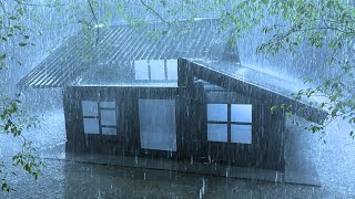 Adjusting to Sleep in 3 Minutes with Heavy Rain & Fierce Thunder on a Rickety Tin Roof in Wilderness