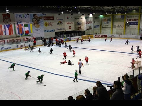 Hokej U8, Maribor, Lisjaki, Fox Trophy 2015, Crvena Zvezda - Slavija 1-2