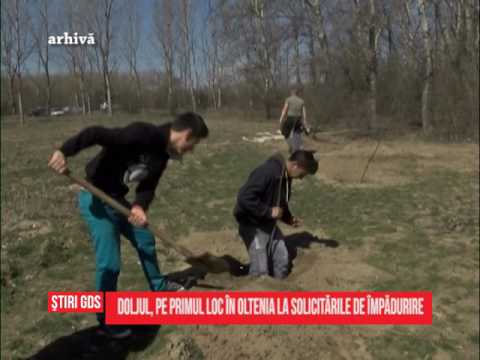 Doljul, pe primul loc în Oltenia la solicitările pentru împădurire