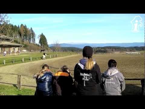 ÖIV-Winterreitkurs Mentehof 24./25.11.2012 - isibless