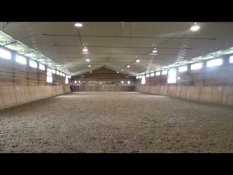 Billionaire (6 year old by Belissimo M)