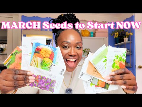 Finally Starting Peppers 🌶️ 🫑 More Herbs 🌱 More Flowers 🌺 ❥ NW OH Zone 6B